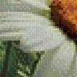 Предпросмотр схемы вышивки «Ромашки 3D» (№749006)