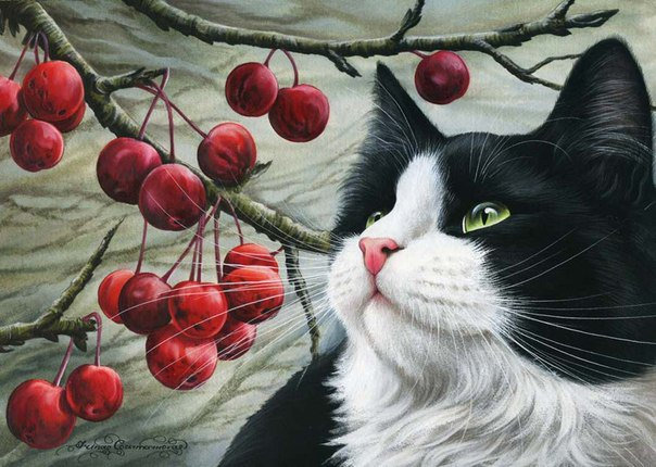 кися - оригинал