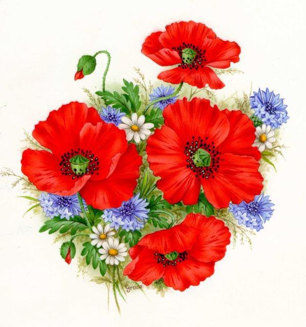 мак1 - оригинал