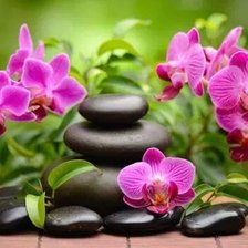 Схема вышивки «Orquideas»