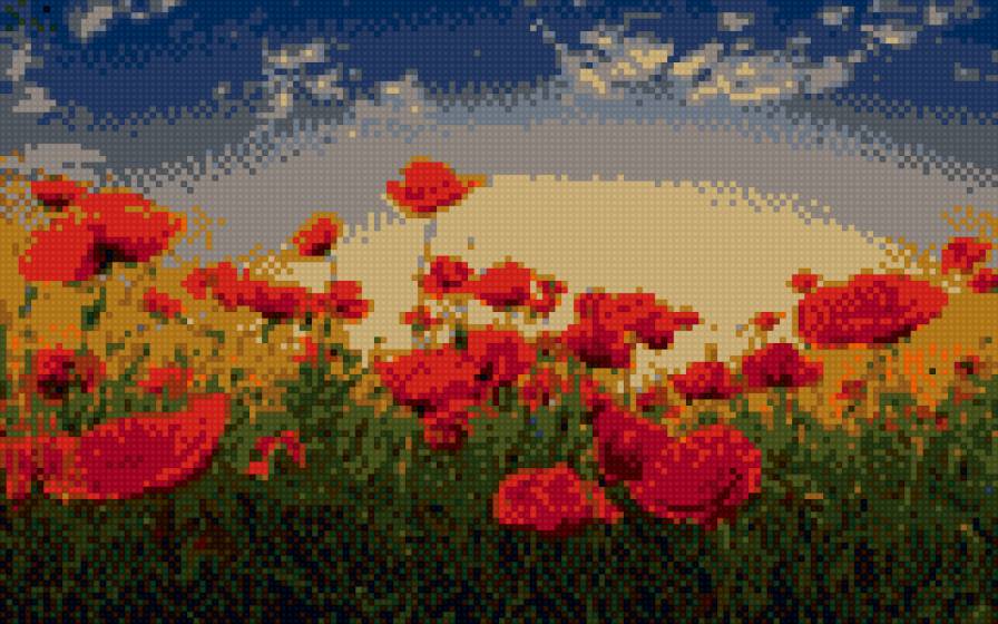 Маки - цветы, закат, маки - предпросмотр