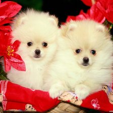 Схема вышивки «№749423»