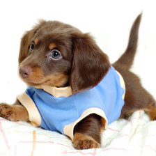 Схема вышивки «№749425»