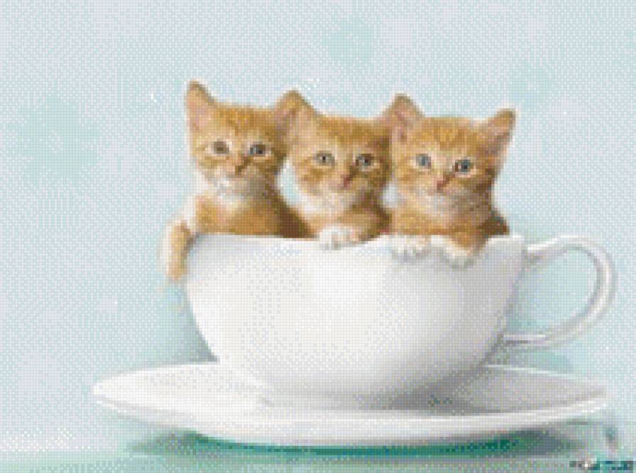 трио - котята - предпросмотр