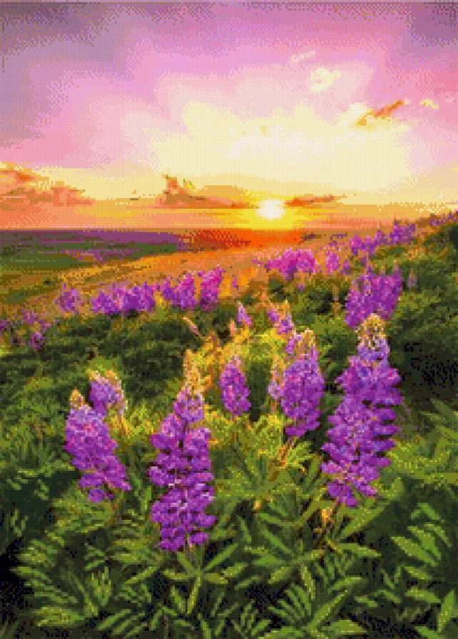 Природа - закат, цветы, природа, пейзаж - предпросмотр