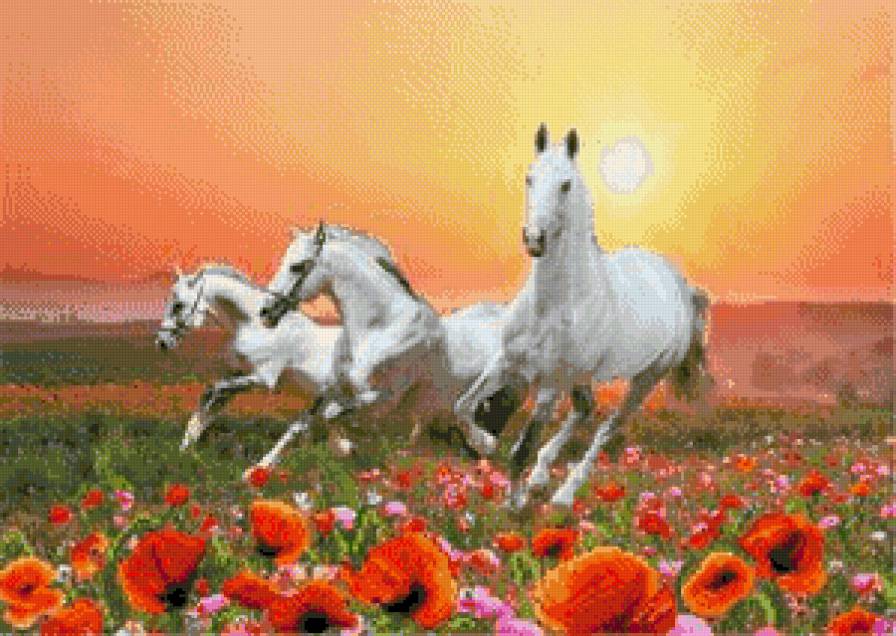 Лошади - животные, лошади, природа, пейзаж, закат - предпросмотр