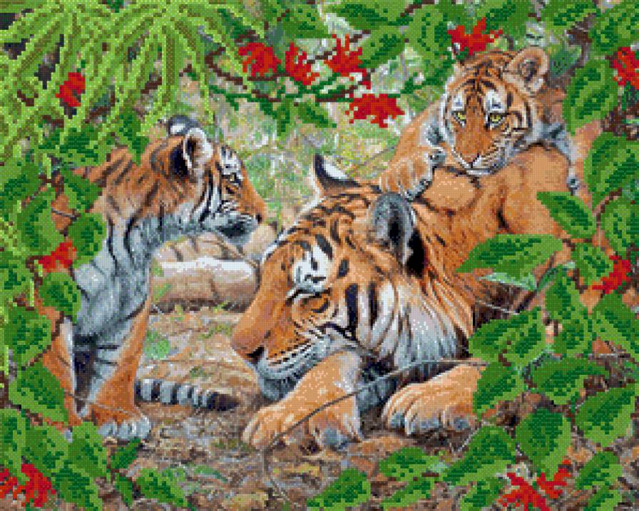 Тигры - животные, тигры - предпросмотр