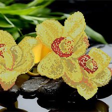 Оригинал схемы вышивки «Орхидеи» (№749483)
