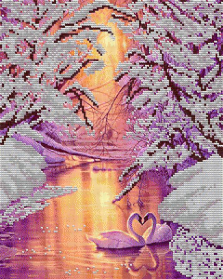 Лебеди - лебеди, природа, закат, животные - предпросмотр