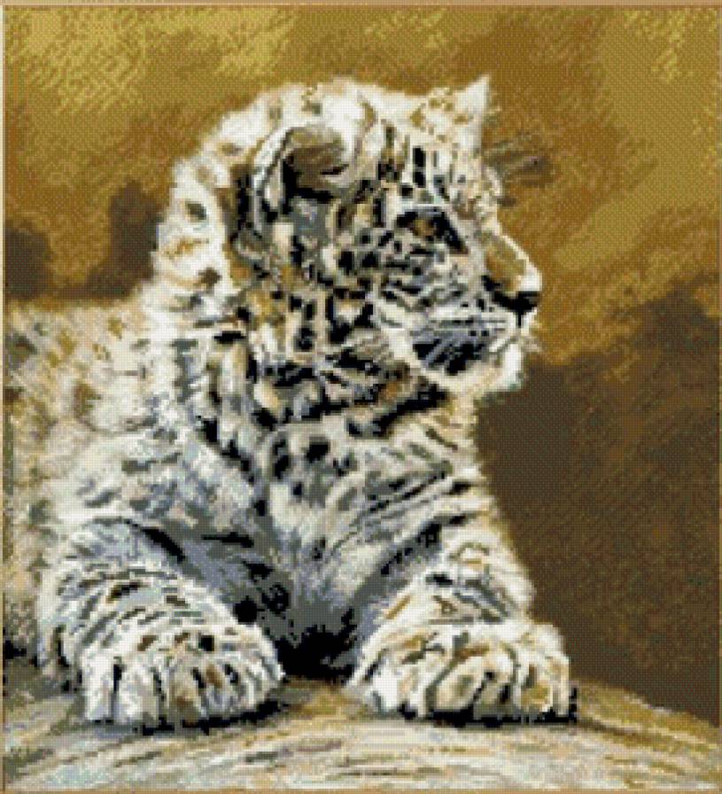 тигренок - животные, тигренок, тигры - предпросмотр