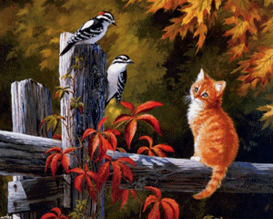 №749563 - птицы, кот - предпросмотр