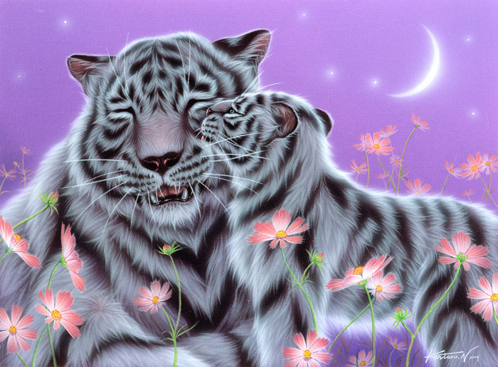 тигры - тигры - оригинал