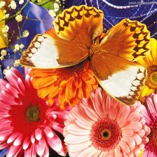 Оригинал схемы вышивки «Бабочка в цветах» (№749825)
