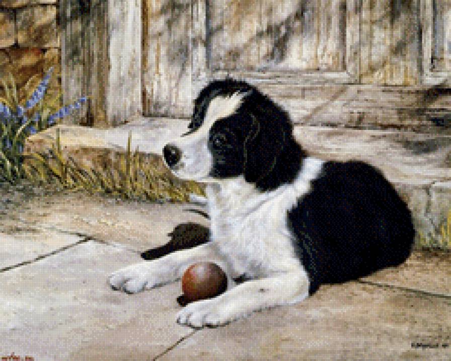 №749851 - собака - предпросмотр