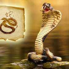 Схема вышивки «змея»