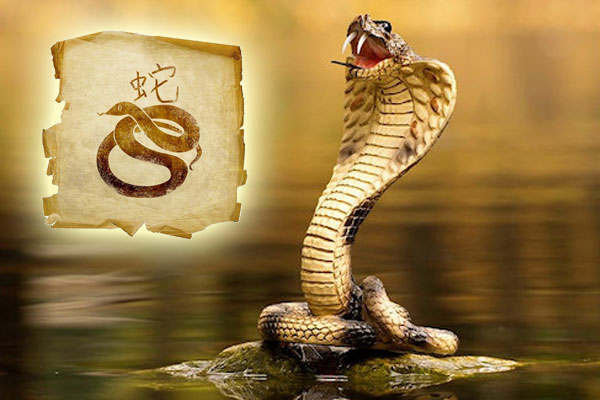 Простой как голубь мудрый как змей. Умная змея. Скучающая змея. Красивая змея и умная. Змея Мудрые мысли.