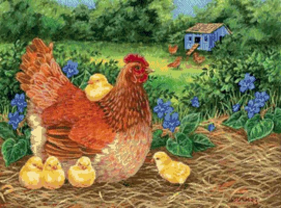 курочка - хозяйство, цыпленок, птица, цыплята, птицы, курица - предпросмотр