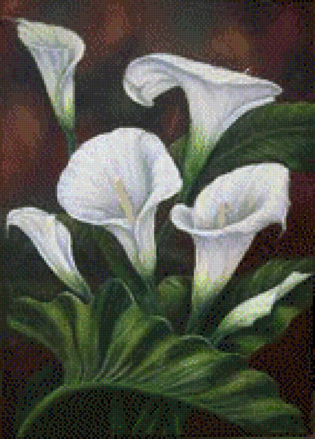 №750150 - предпросмотр