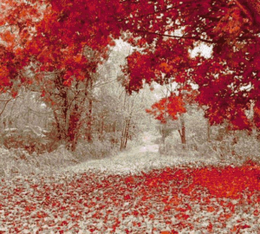 встреча зимы и осени - снег, дорога, зима, деревья, осень - предпросмотр