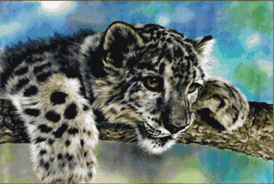 леопард - животные - предпросмотр