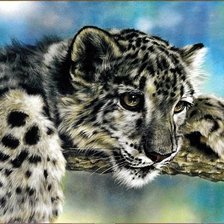 Схема вышивки «леопард»