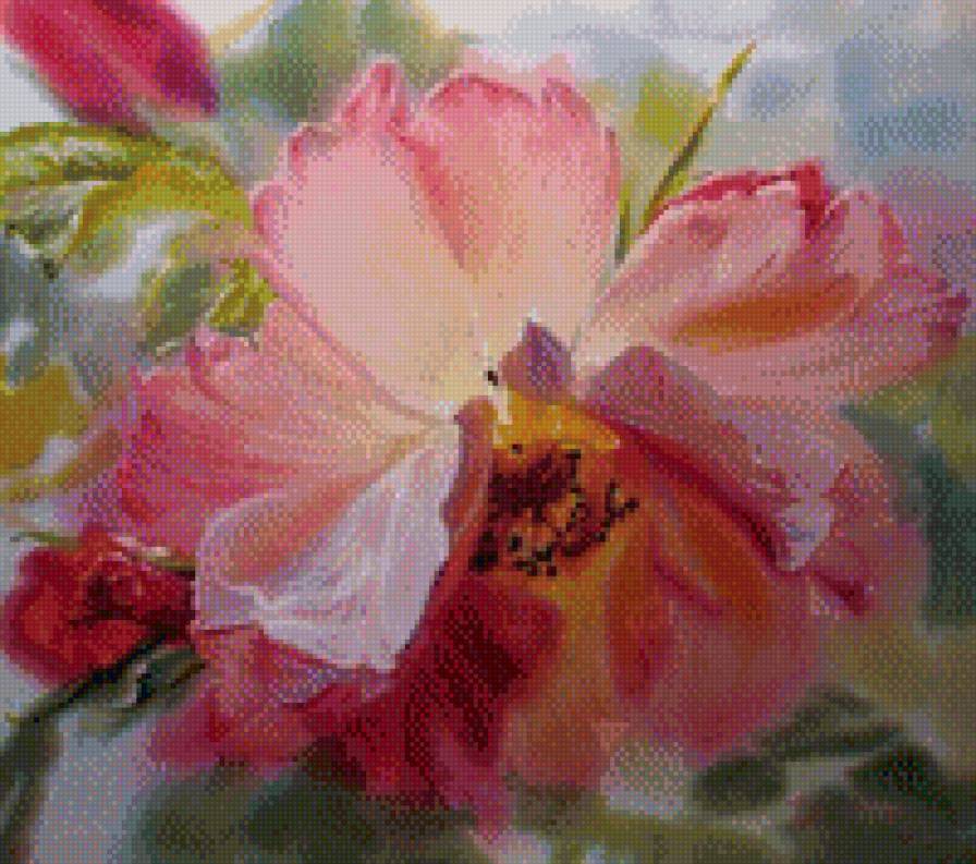 656555555 - предпросмотр