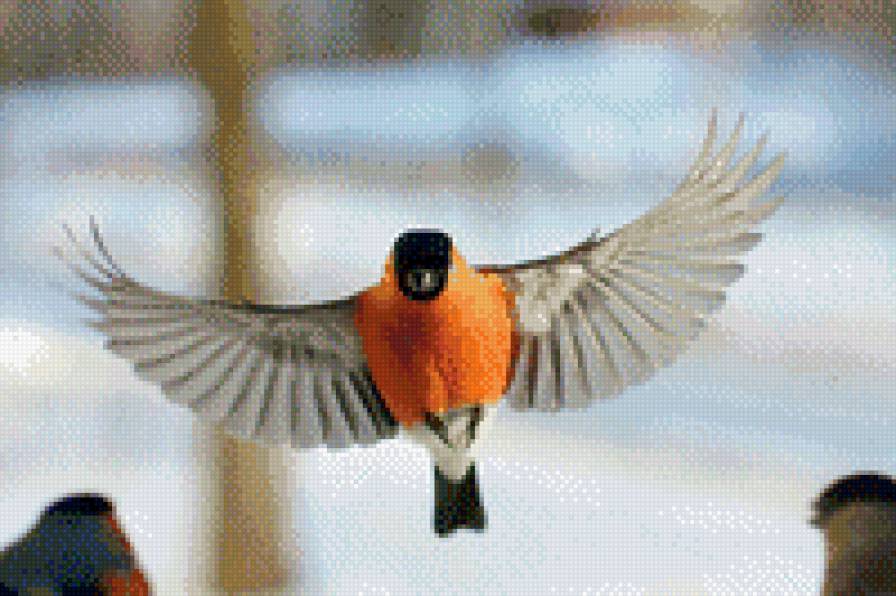 Снигирёк - снигирь, пейзаж, птицы, зима - предпросмотр