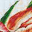 Предпросмотр схемы вышивки «Tulipanes» (№750732)