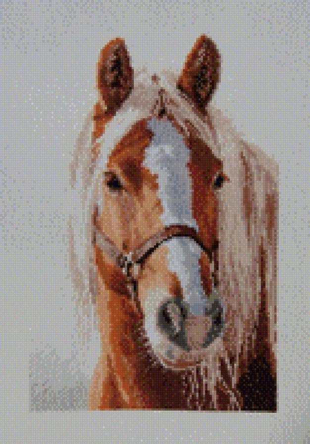 №750776 - лошадь - предпросмотр