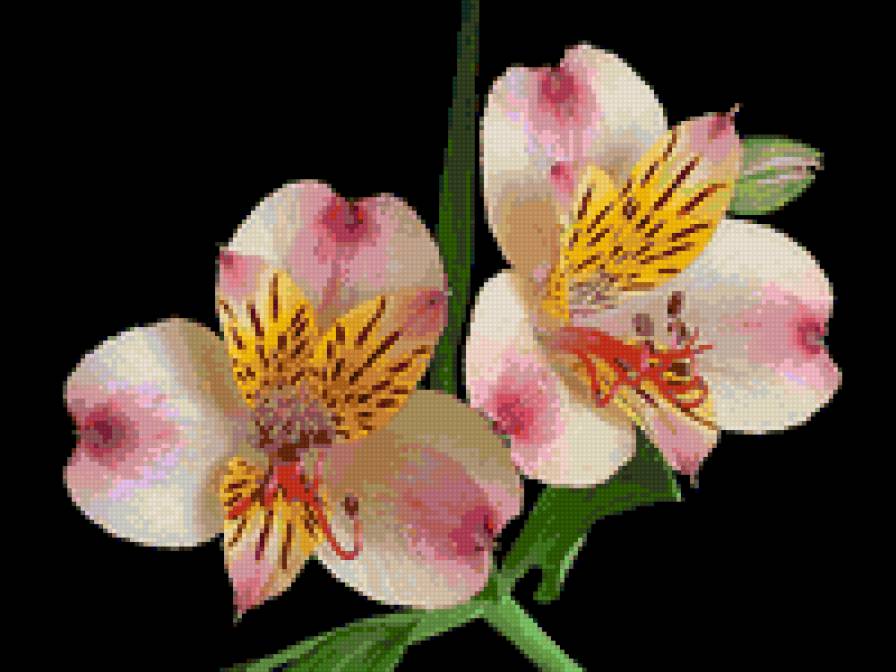 №750848 - предпросмотр