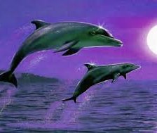 Схема вышивки «№750939»