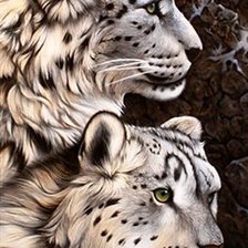 Схема вышивки «Барс»