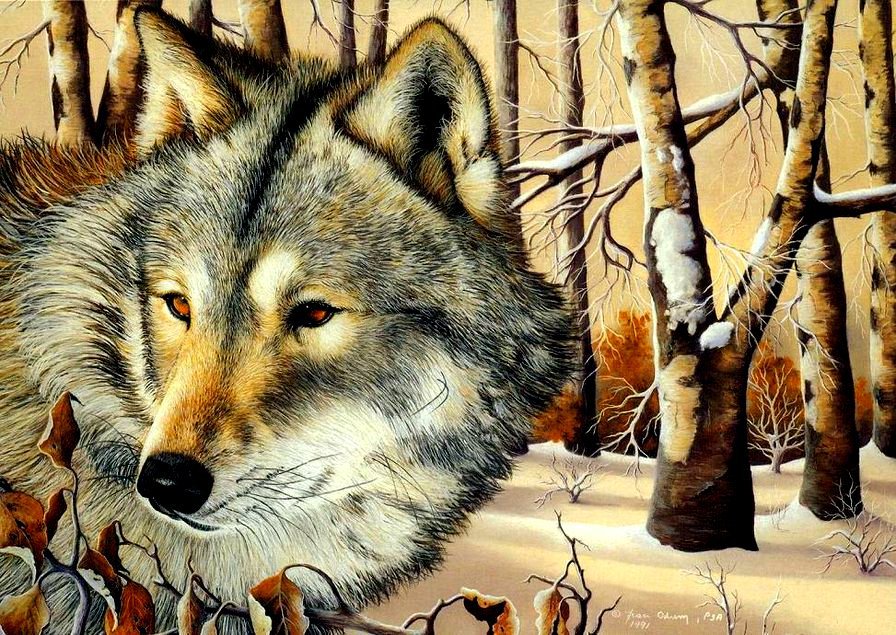 Волк - зима, звери, волк, животные - оригинал