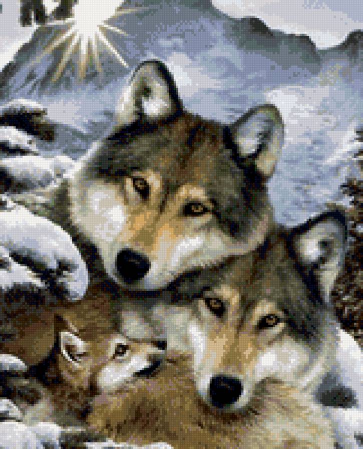 Волки - семья, звери, волк, животные - предпросмотр