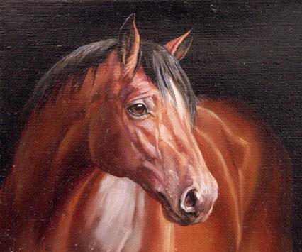 Животные (лошадь1) - лошадь, животные - оригинал