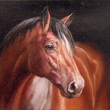 Животные (лошадь1)