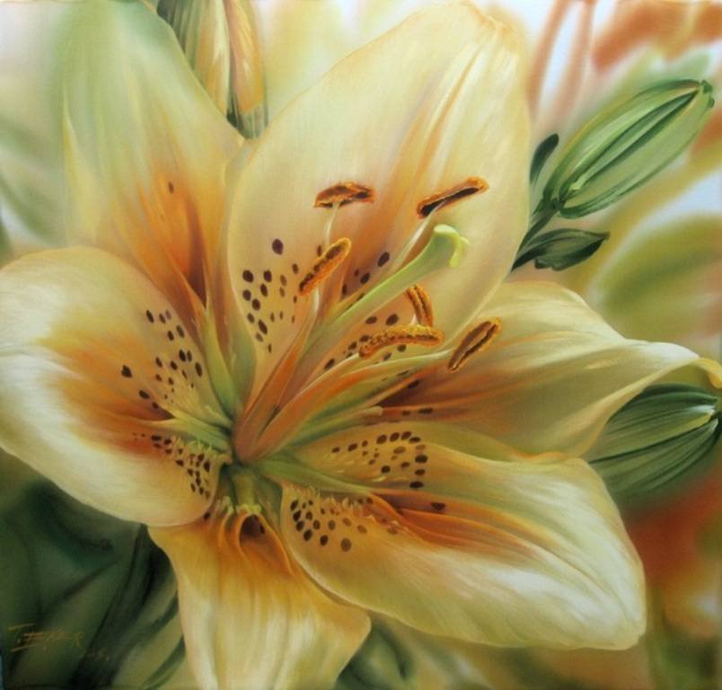 лилия - оригинал