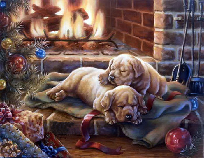 собаки - оригинал