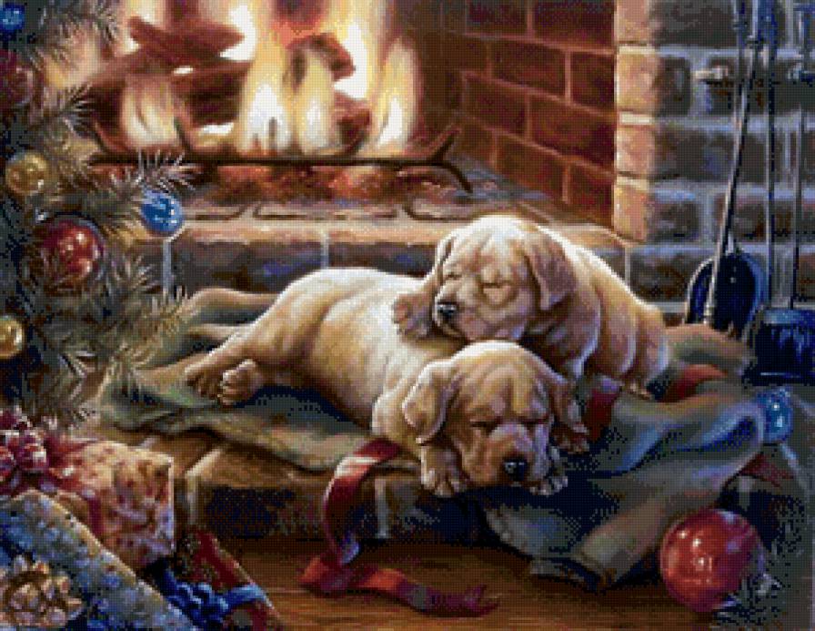 собаки - предпросмотр