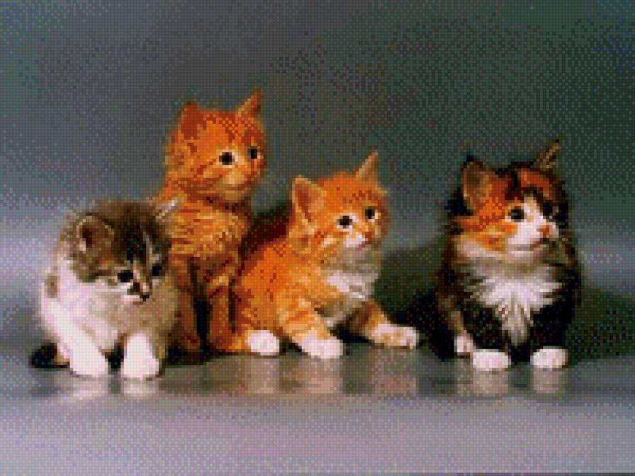 Котята - котята, кошки, картина - предпросмотр