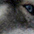 Предпросмотр схемы вышивки «Волк» (№751426)