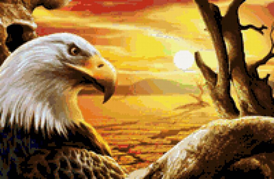 №751544 - предпросмотр