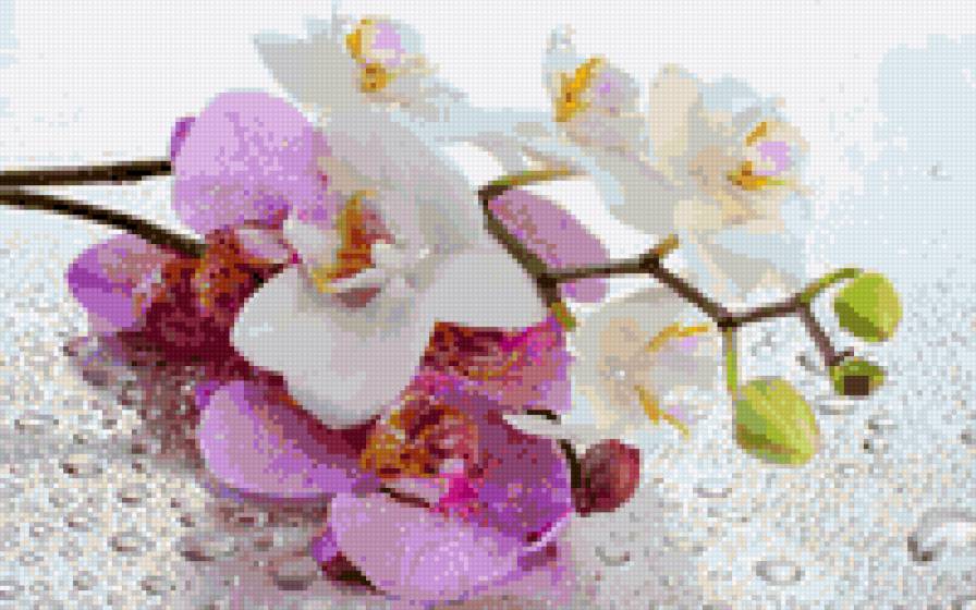 №751545 - предпросмотр