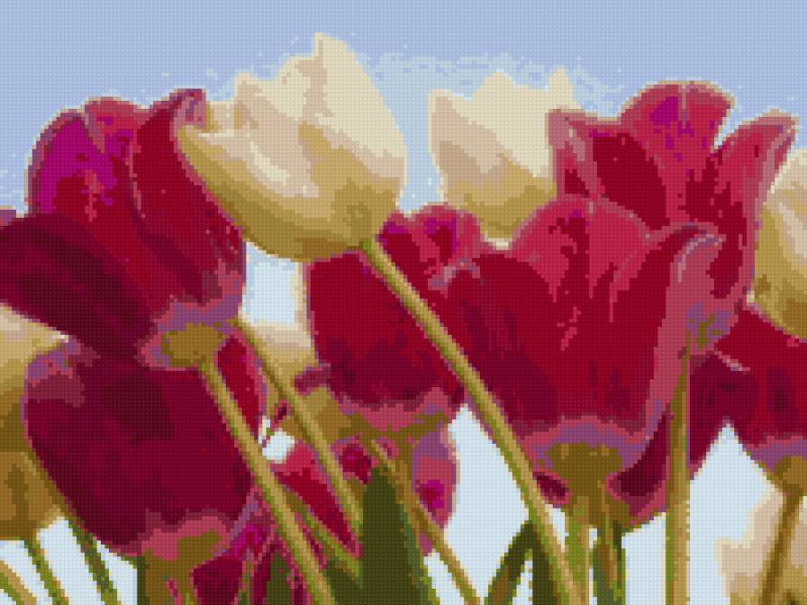 №751578 - предпросмотр