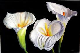 №751581 - оригинал