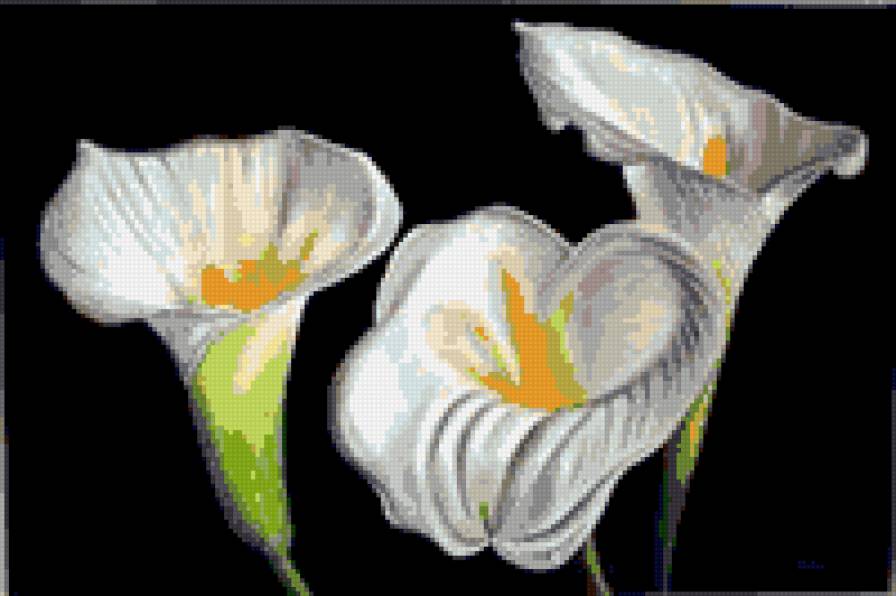 №751581 - предпросмотр