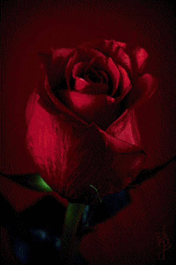 №751810 - предпросмотр