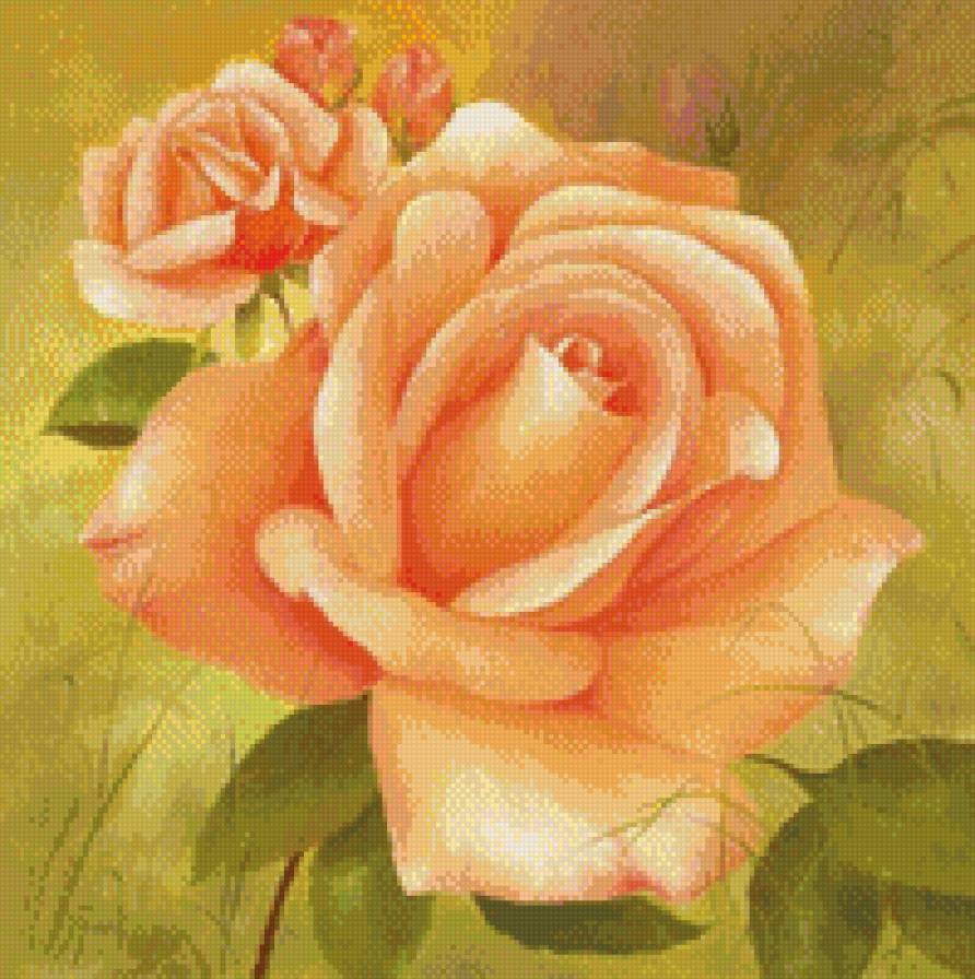 Чайная роза - цветы, роза - предпросмотр