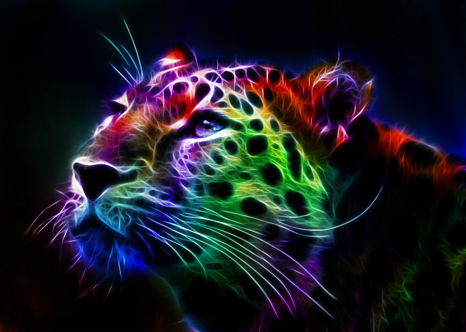 Леопард - леопард, киса, фрактал, цвет, ярко, кот - оригинал