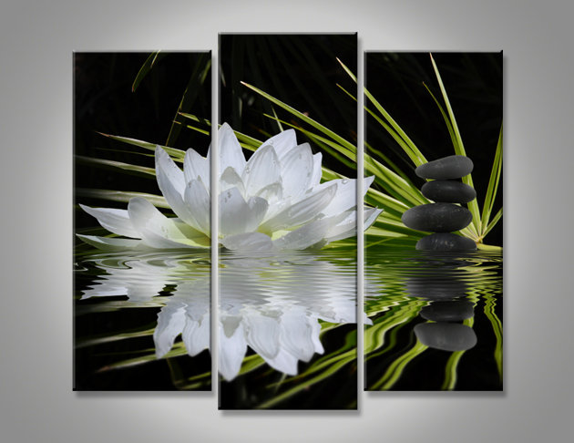 лотос - цветок природа - оригинал